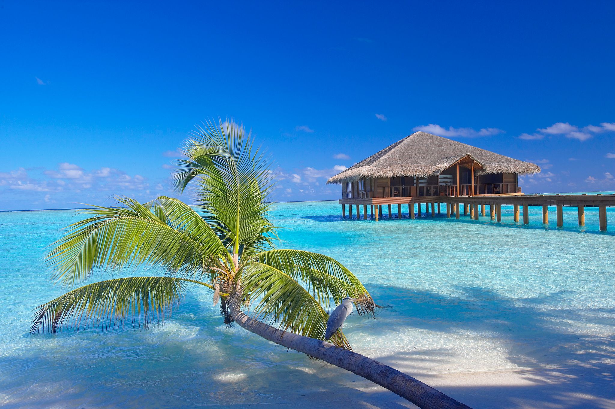 Medhufushi Island Resort | Maldives Hotels | Ethos Maldives
